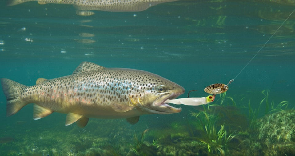 Lure Innovations White-n-Chartreuse Ultimate In-Line Spinner