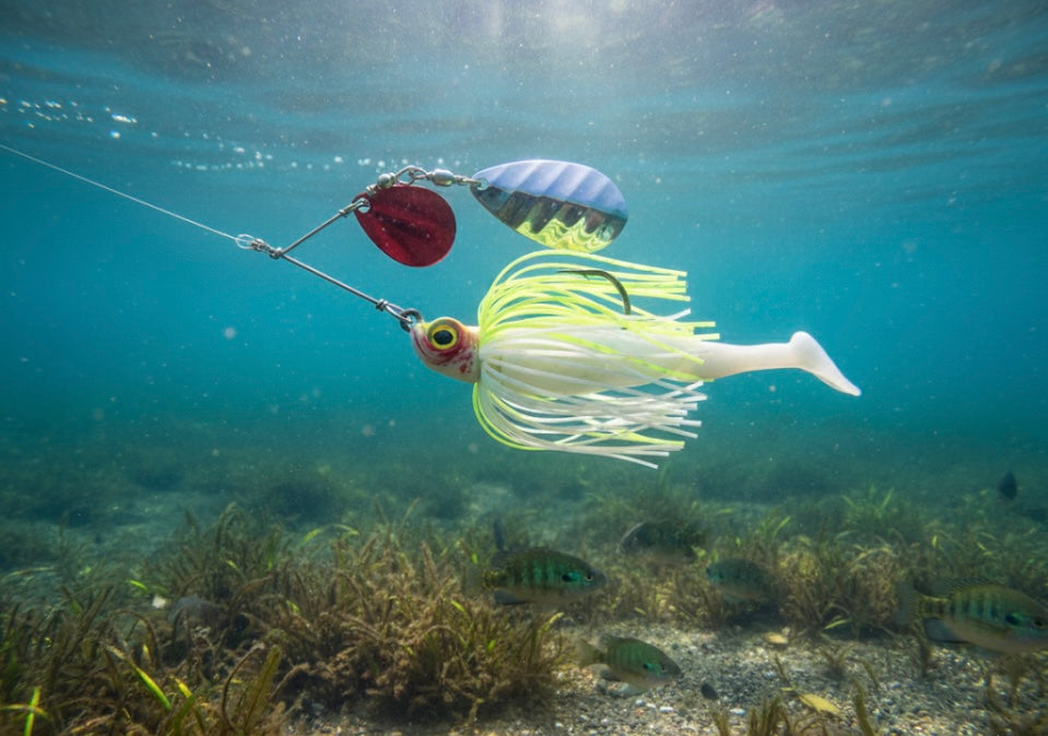 Lure Innovations Lil’ Dynamite White-n-Chartreuse Compact Spinnerbait